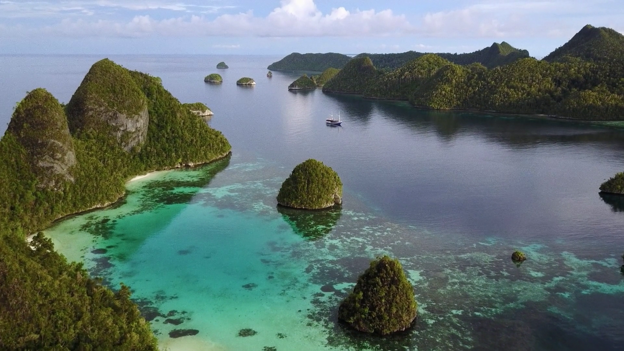 last-treasures-of-the-earth-2019-1080p-w