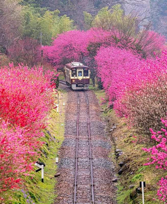 Screenshot_20240420_212609_Threads