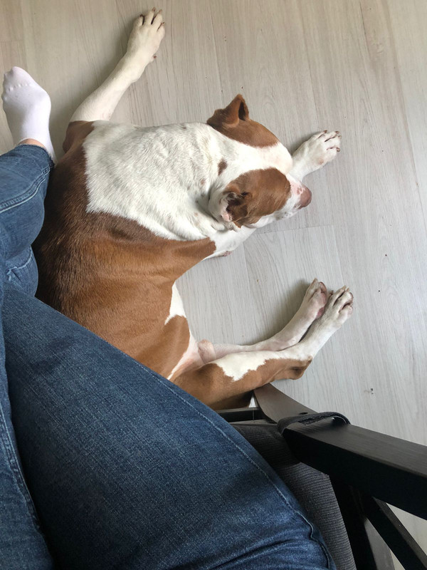 97B39258-2759-4EBF-AEA9-069823B4499D