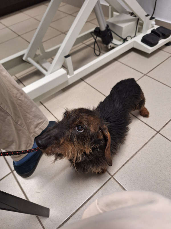 [Image: 20240406-174159.jpg]