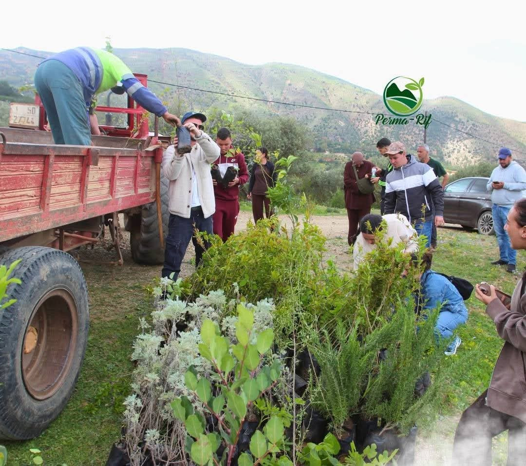 5de9df1ed71dea668dbf594d146bf1e8