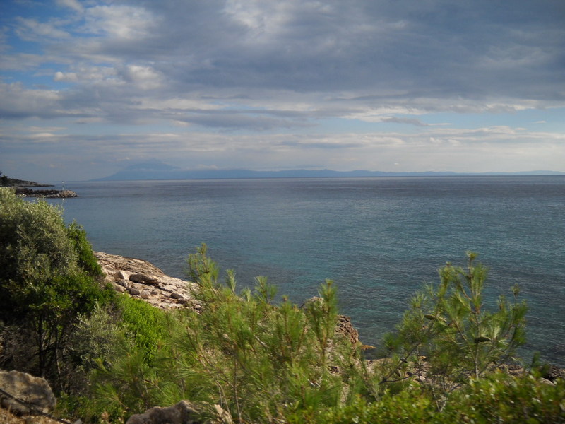 Slika