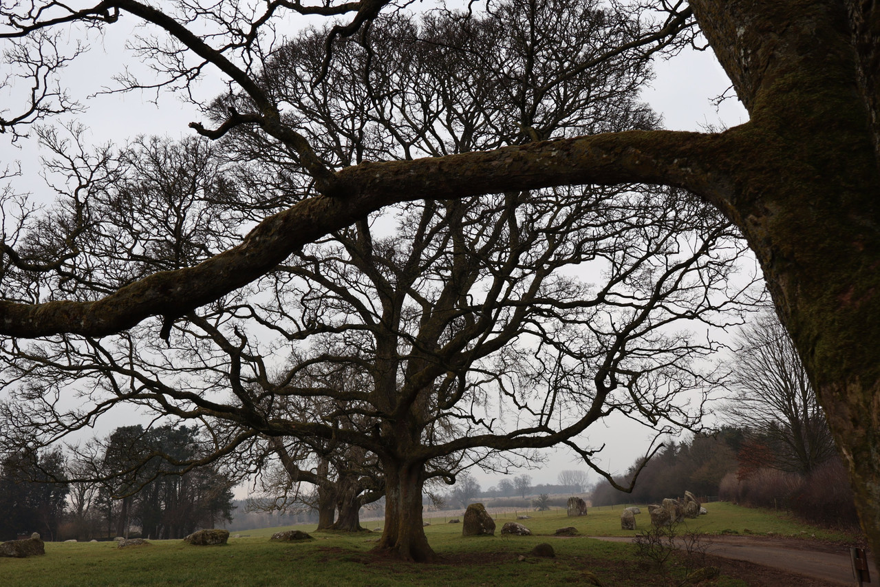 Long Meg and Her Daughters