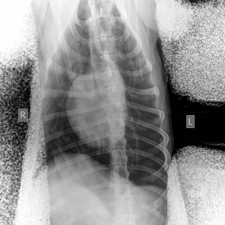 5BD9D6DE-63E3-42E9-B223-60F718599107