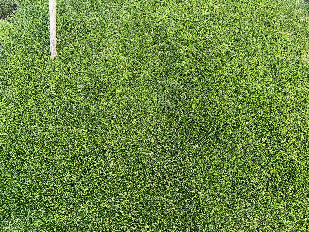 F48FC030-19B6-4084-8691-F5F269A402DE