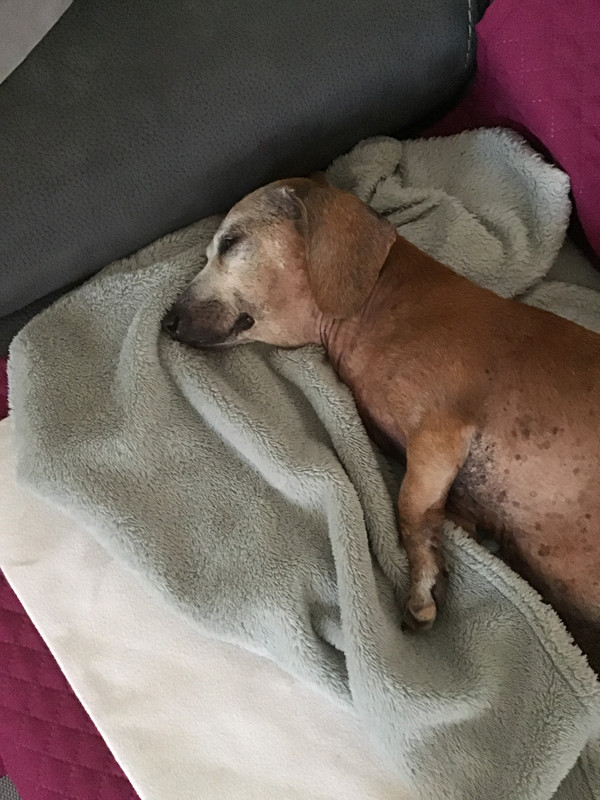 [Image: 71-ACB6-C9-D178-4-DEE-975-C-272321757-F1-F.jpg]