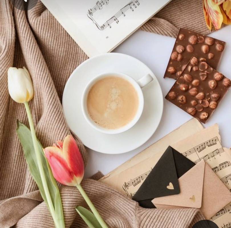 Screenshot_20230330_233000_Pinterest