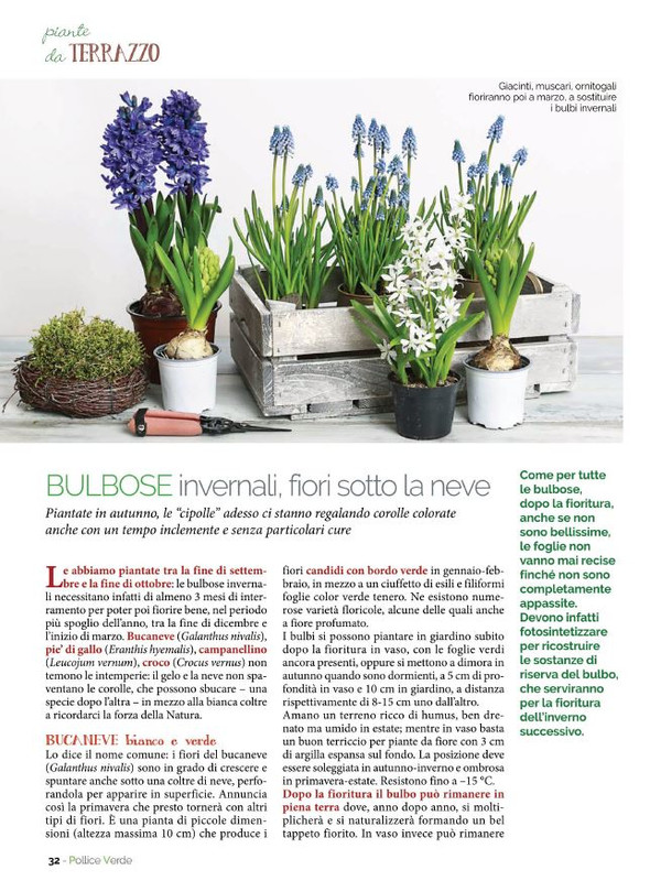 Pol Ver Gen-Feb 2022 (7)