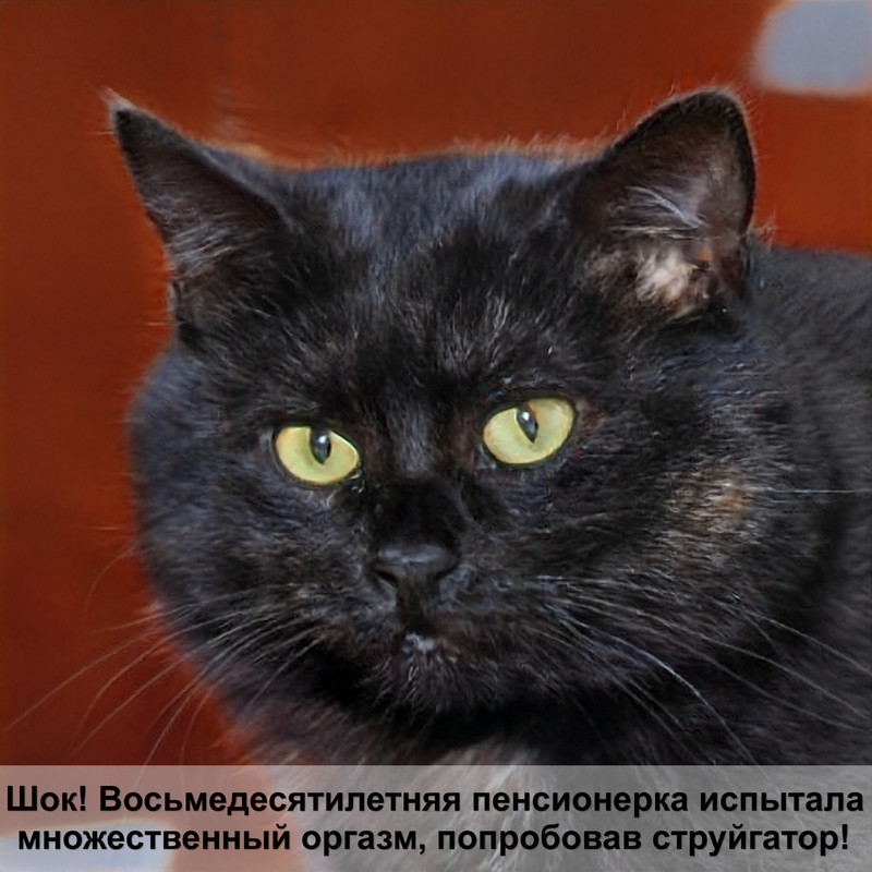 окрас тикированный у кошек