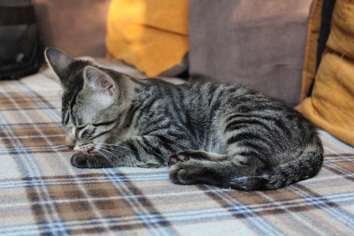 4169285D-FDF9-4D7A-8C55-7C066B8BE44F