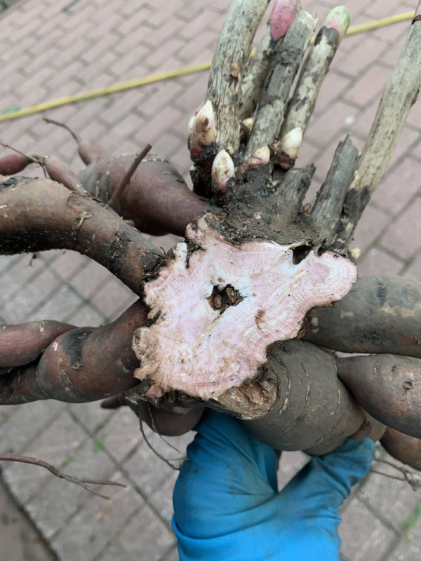 F4727ED3-8DCD-4B02-990F-44C21BCDEED8