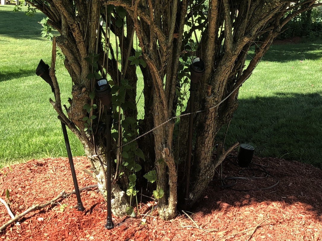 D5E78284-852A-469A-AF7E-0BF61B449BB7