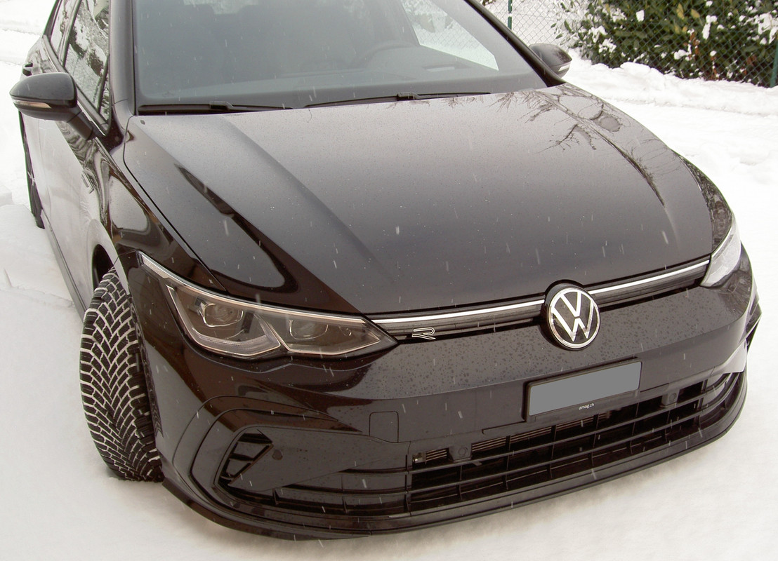 Golf 8.2