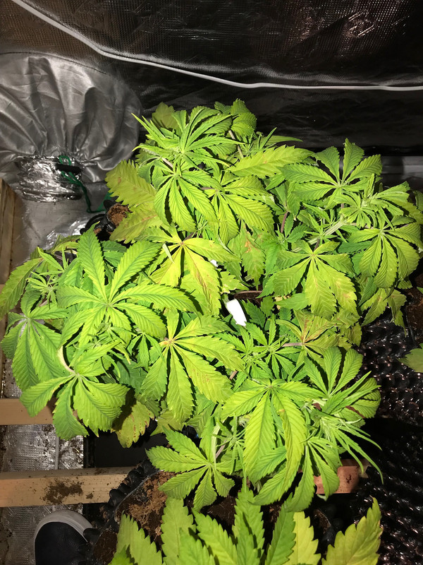 6B77F3E8-F5BC-45A4-9EC0-2BB456A108B6