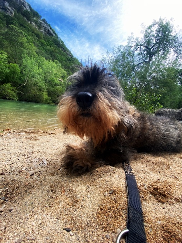 [Image: IMG-2146.jpg]