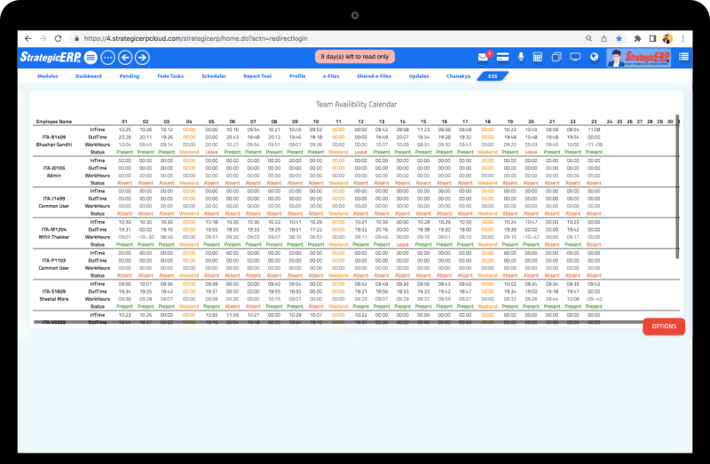 StrategicERP Team Availability Chart