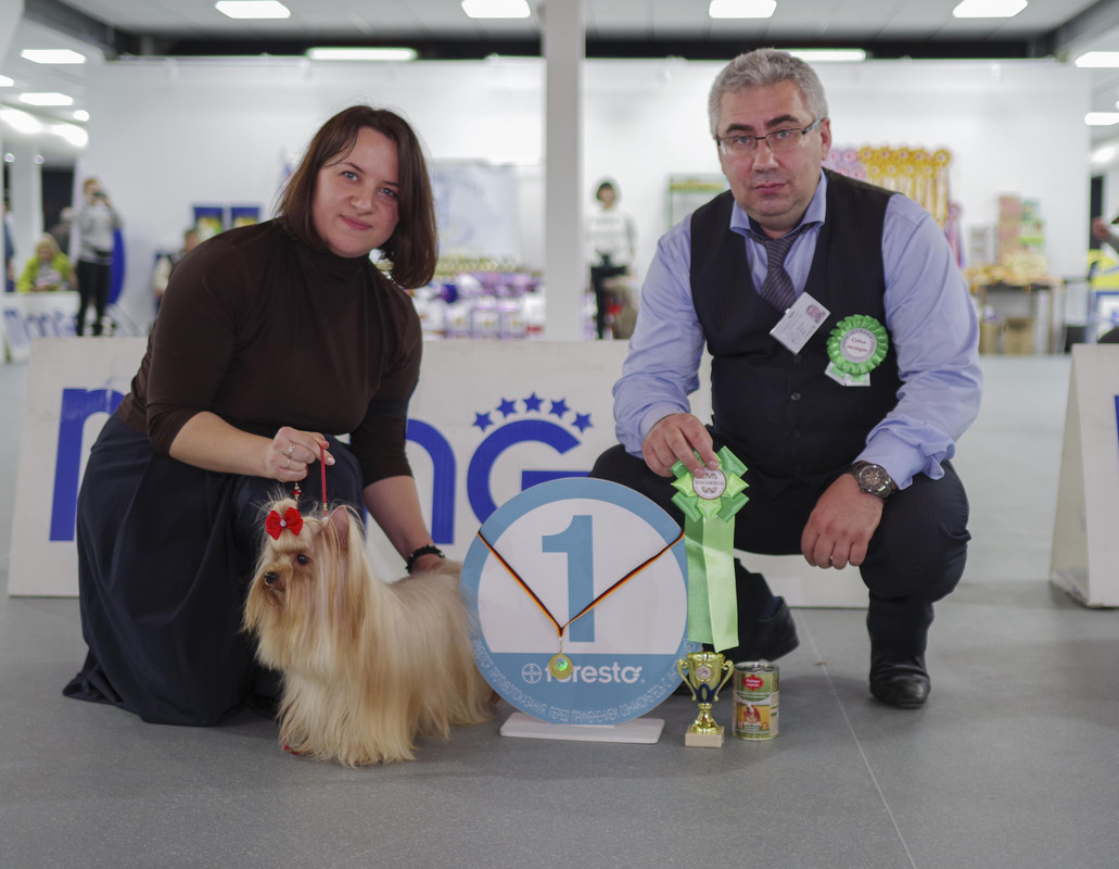 IMGP1714 - копия - копия