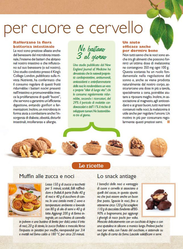 Sal Nat Dic 2024 (8)