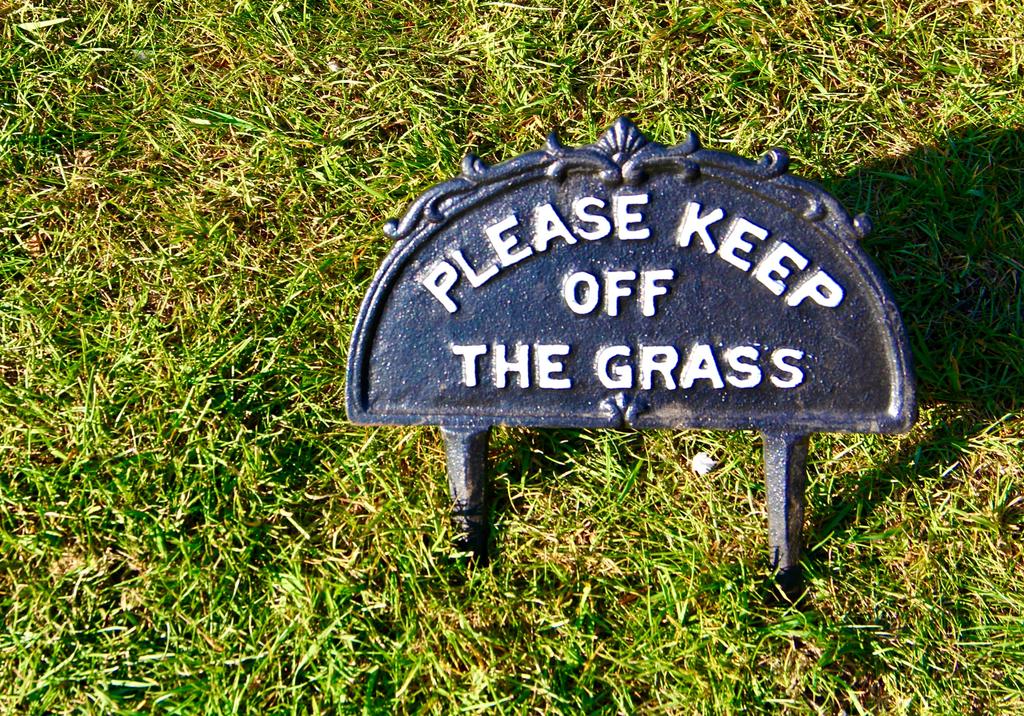 Пёстрая лента. Путешествие по сельским дорогам Англии в мае 2025 г.