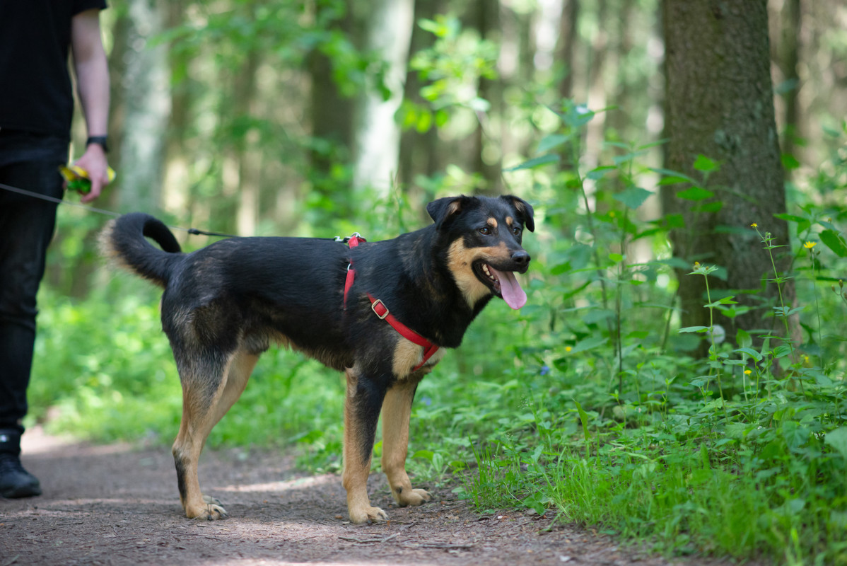 610_0656_борисов