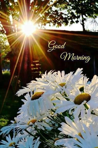 Good Morning, Good Afternoon, Good Evening, Good Night, Good Day!
