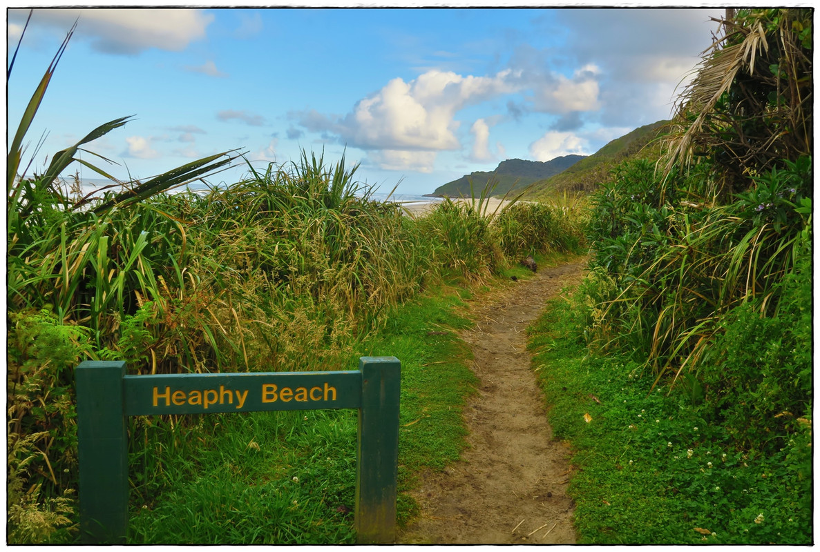 Kahurangi NP: Heaphy Track (Navidad 2020, III) - Escapadas y rutas por la Nueva Zelanda menos conocida (43)