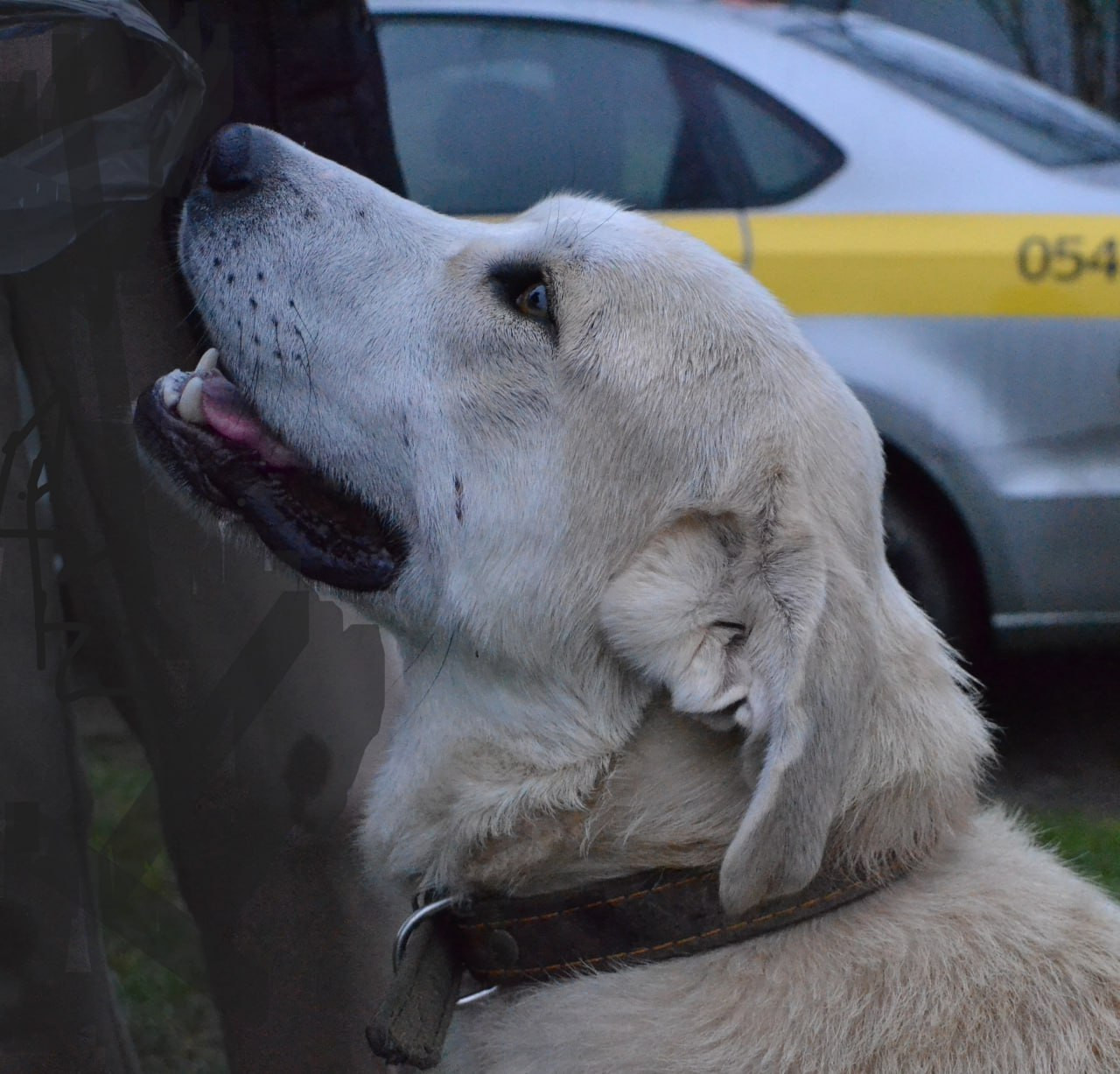 photo 2026 01 07 16 13 51