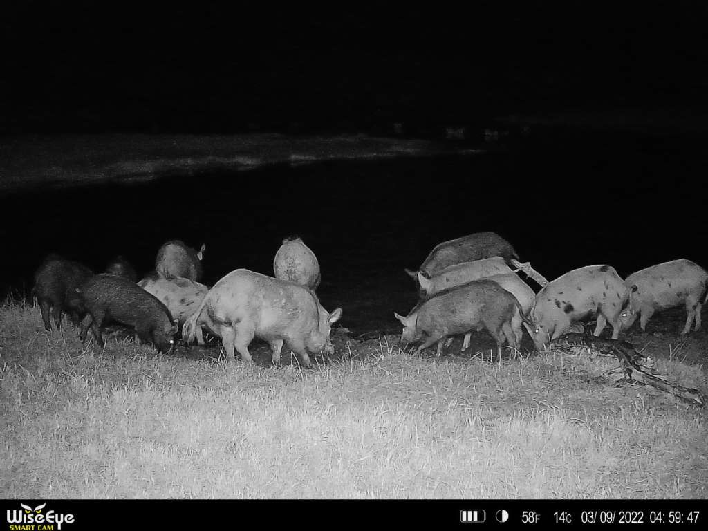 8ABC3503-8CA9-4E3B-A5B1-D682A1721958