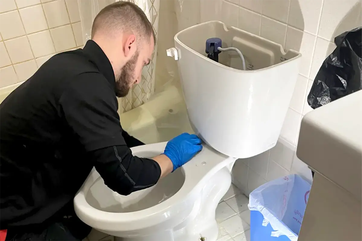 Licensed toilet repair technician Albuquerque fixing toilet flush system