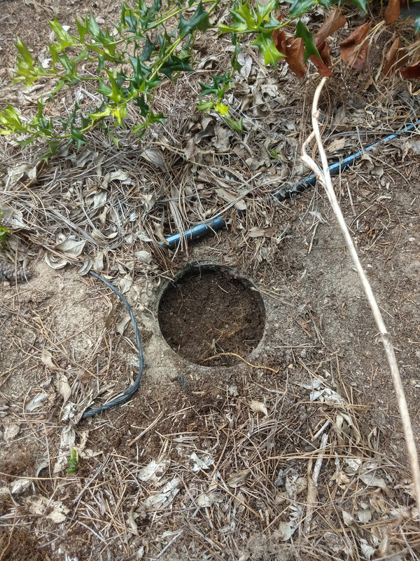 IMG_20200815_144404744_HDR