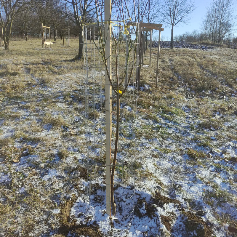 605544120 1932325757679942 8430075972497460593 n