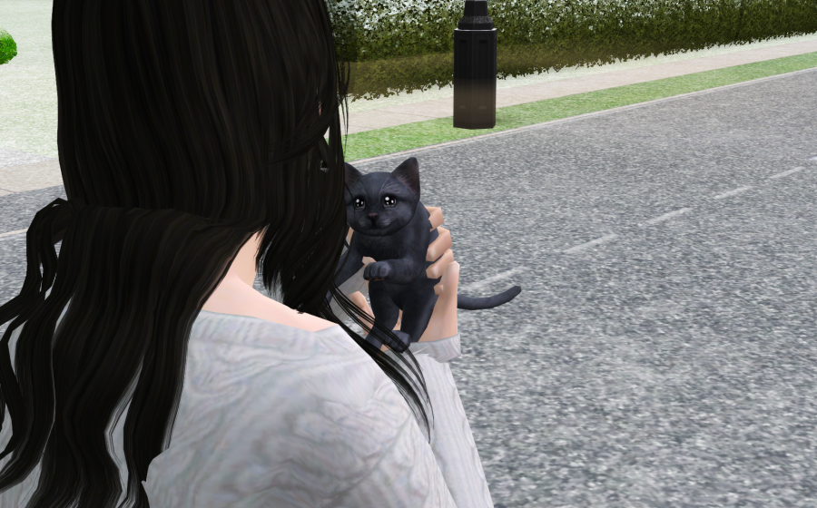 Sims2-EP9-RPC-2021-04-22-21-43-52-73