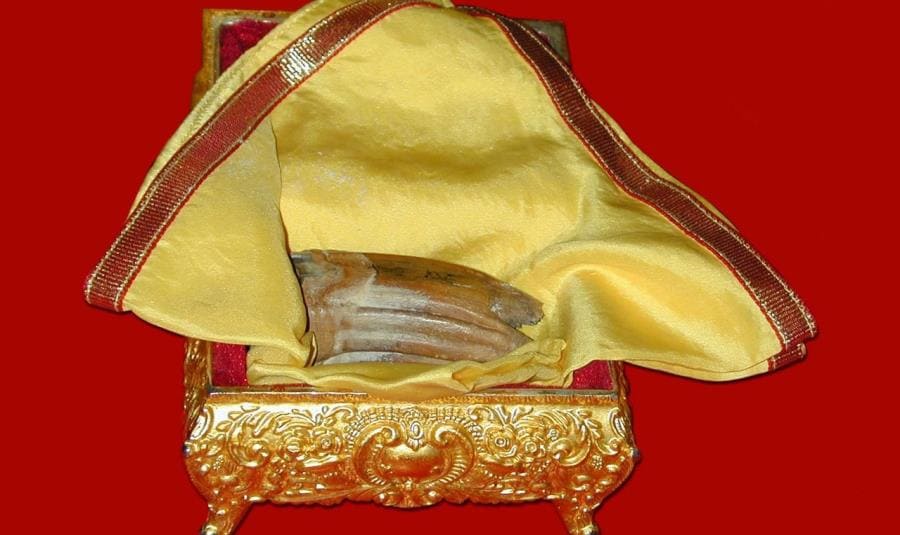 Тайны священного Зуба Будды - удивительные факты о реликвии Канди Тайны священного Зуба Будды - удивительные факты о реликвии Канди