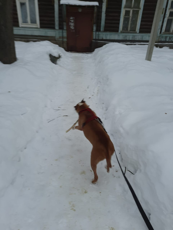 9F0C5E1D-3639-4857-9C4B-DCE0BE3180F5