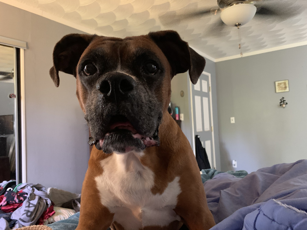 E9D21013-CBB8-4CB0-8DFE-86A0966555FB