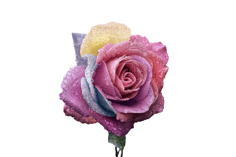 [Image: png-6.png]