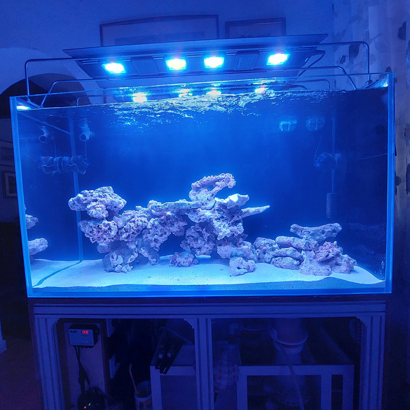 649899638 1242986718023883 1828281608695755572 n