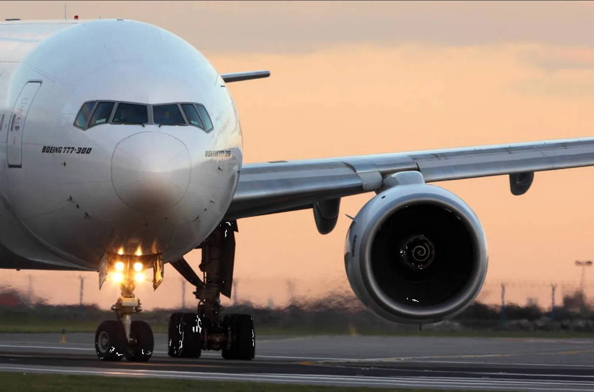 “Desgarradores gritos” obligan a un piloto a aterrizar de emergencia: video