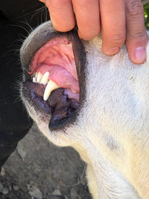 WhatsApp Image 2022-09-10 at 13.11.39 (1)