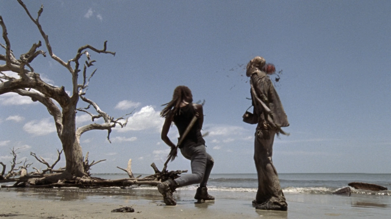 The.Walking.Dead.S10E01.Lines.We.Cross.1080p.AMZN.WEB-DL.DD 5.1.