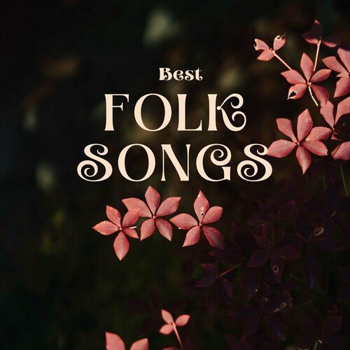 VA - Best FOLK Songs (2024)