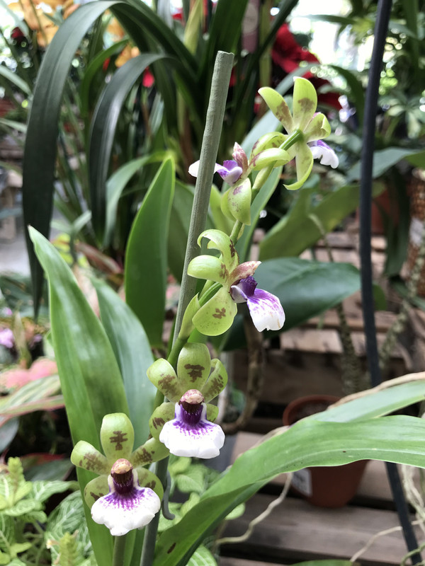 24CA2FE1-D170-4510-B70E-C978E9E2FC1E