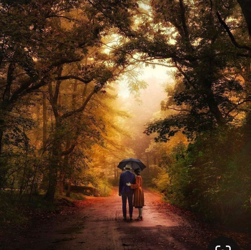 Screenshot_20231128_181755_Pinterest