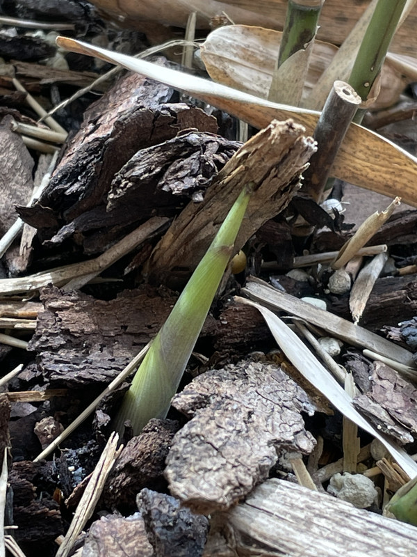 4BE871C0-0C5B-4893-9571-9E740B4C4175