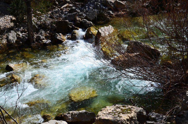 RUTA RIO BOROSA-12-3-2016-JAEN - Paseando por España-1991/2016 (18)