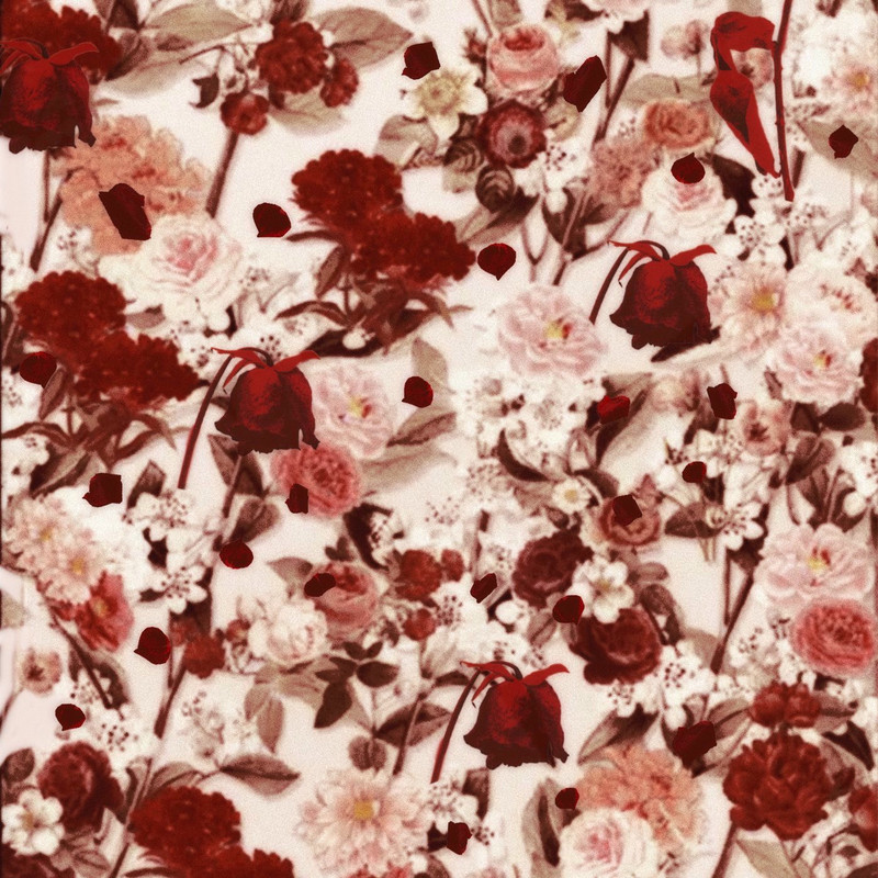 d4vd; Hyunjin - Always Love (Stray Kids)