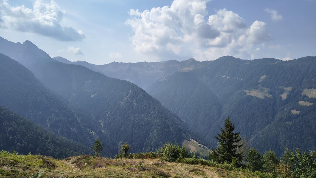 IMG-20260816-110451841-HDR.jpg