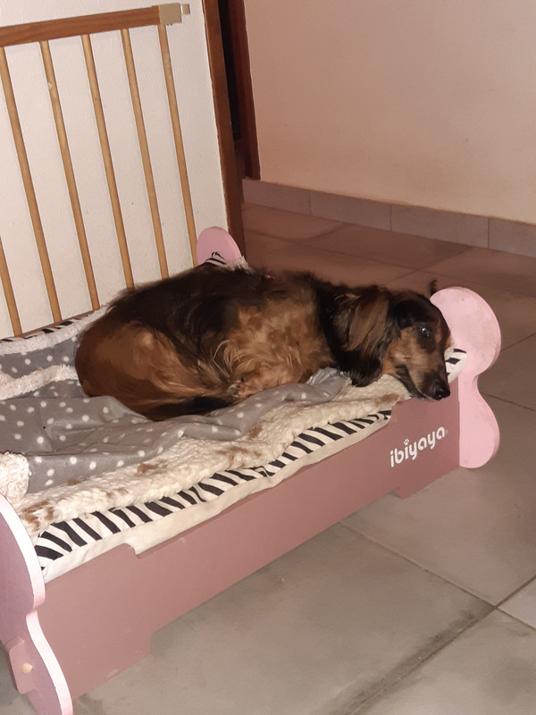 [Image: 20230114-081053.jpg]