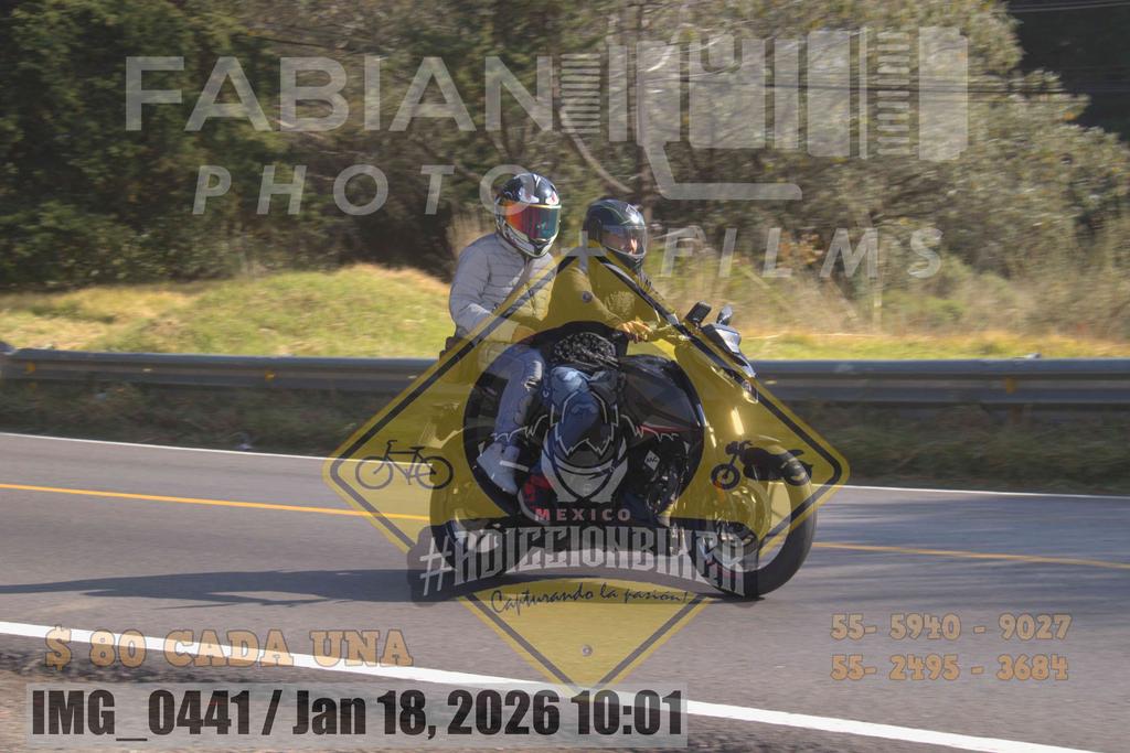 IMG 0441