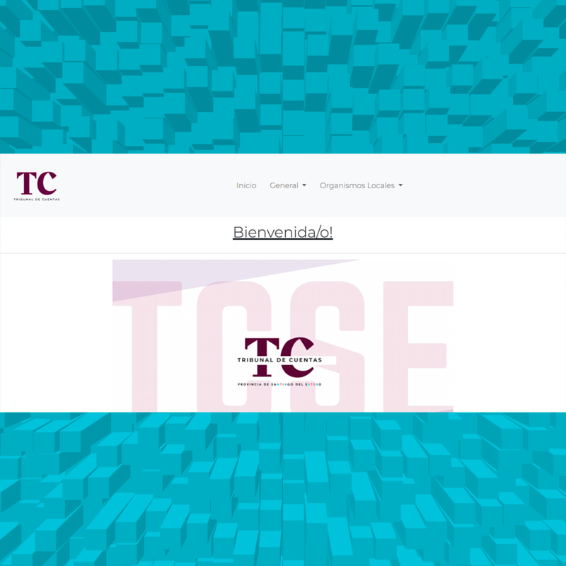 FAQs TCSE